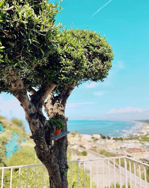 Lavinum Villa Monte di Procida Luaran gambar
